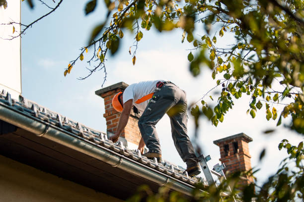 Best Flat Roof Repair Services  in Pella, IA